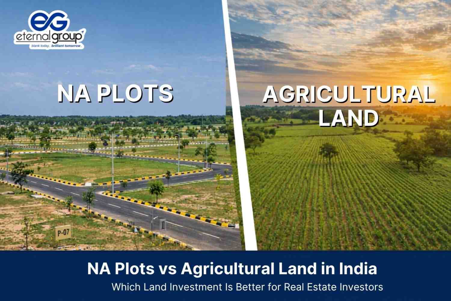 NA Plots vs Agricultural Land in India: Which Land Investment Is Better for Real Estate Investors | Real Estate Company Guide