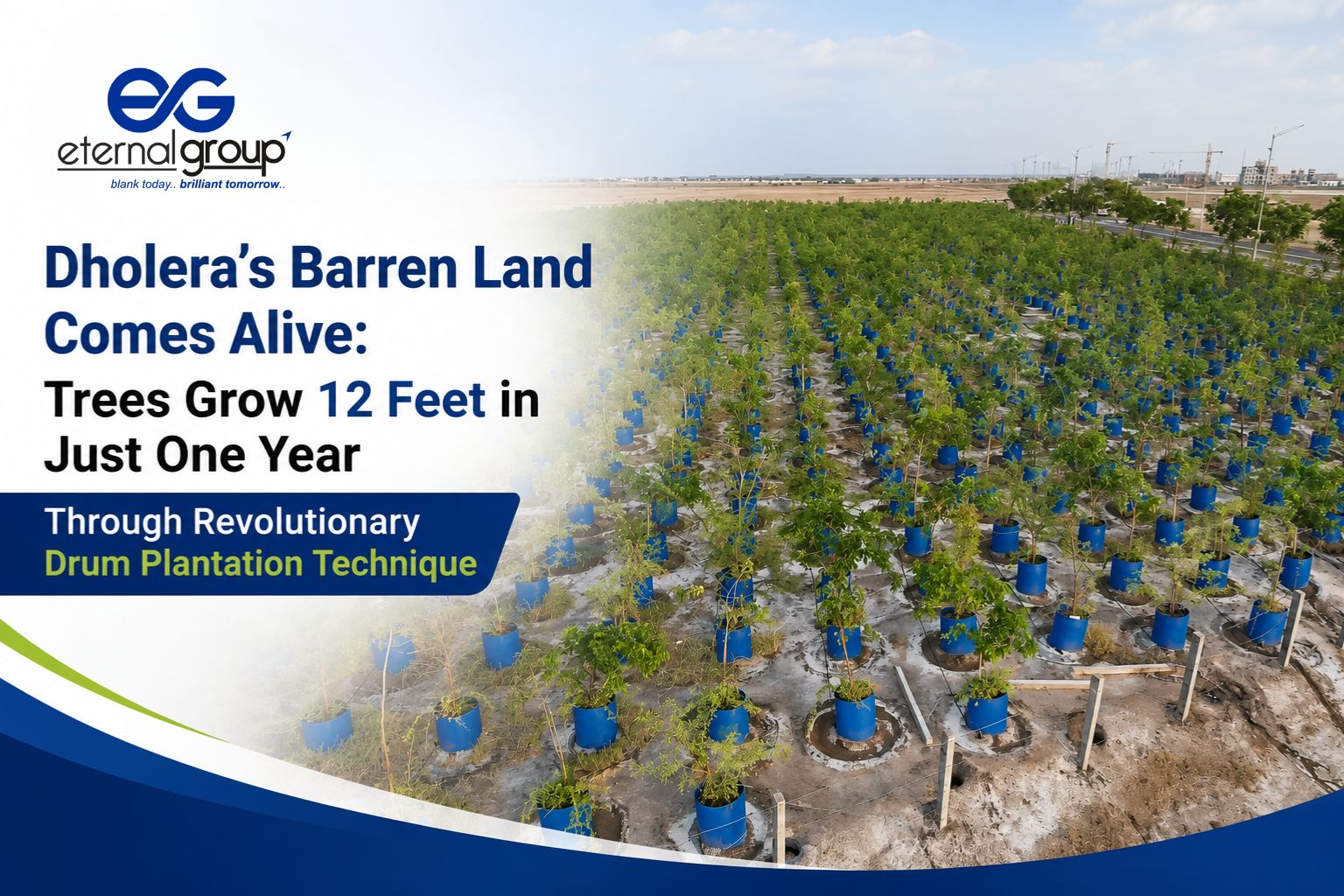 Dholera’s Barren Land Comes Alive: Trees Grow 12 Feet in Just One Year Through Revolutionary Drum Plantation Technique